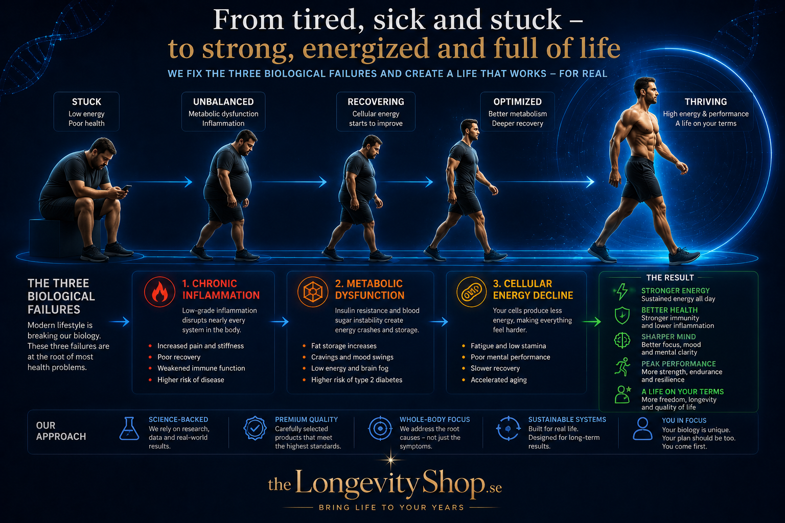 The Three Biological Failures of Modern Life — chronic inflammation, metabolic dysfunction and cellular energy decline, and the path from stuck to thriving.